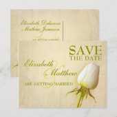 Faire-part Enregistrer la date Carte postale simple Rose blan (Devant / Derrière)