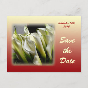 Faire-part Enregistrer la date carte postale - White Calla Li