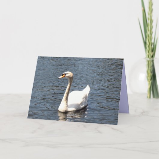 Faire-part Enregistrer la date cygne blanc (Dos)