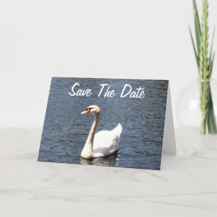Faire-part Enregistrer la date cygne blanc