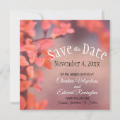 Faire-part Enregistrer La Date Mariage Feuilles Automne De La (Devant)