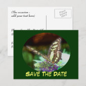 Faire-part Enregistrer Le Papillon Date Sur La Carte Postale (Devant / Derrière)