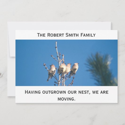 Faire-part - Extérieur de notre nid ... (Devant)