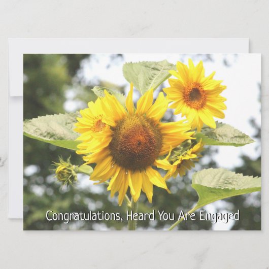 Faire-part Félicitations À Votre Fiançailles (Dos)