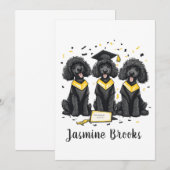 Faire-part Félicitations Diplôme Standard Poodle Dogs (Devant / Derrière)