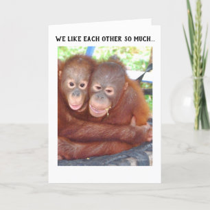 Faire-part fiançailles