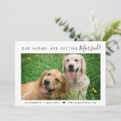 Faire-part Fiançailles photo pour animaux de compagnie modern (Debout devant)