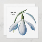 Faire-part Fleur de janvier perce-neige - Cadeau personnalisé (Devant / Derrière)