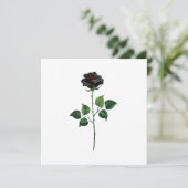 Faire-part Fleur rose noire (Debout devant)
