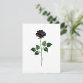 Faire-part Fleur rose noire (Debout devant)