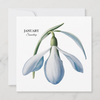 Faire-part Fleurissement de perce-neige de janvier - Cadeau p