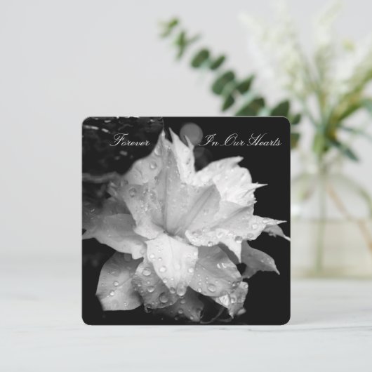 Faire-part funéraire de Clematis 2b Dewdrops (Debout devant)