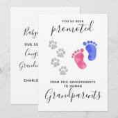 Faire-part Grand-parents Vous Avez Été Promu Grossesse De Chi (Devant / Derrière)