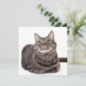 Faire-part Gray Tabby Cat (Debout devant)