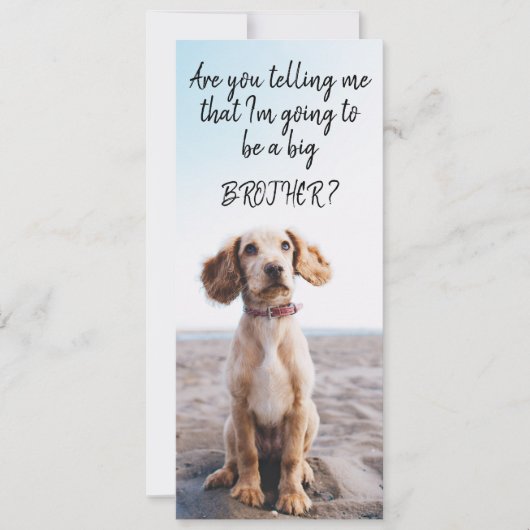 Faire-part Grossesse d'animal de compagnie Big Brother/Sister (Devant)