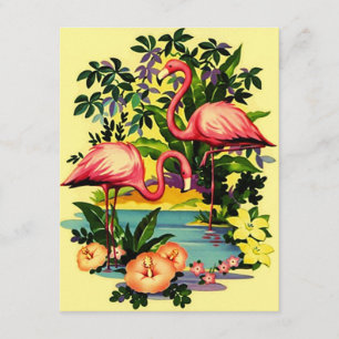 Faire-part J'ai déplacé des Flamants roses côté piscine
