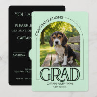 Jardin d'enfants pour chien Photo de compagnie Ver