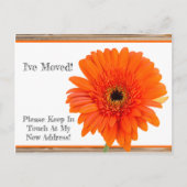 Faire-part Je Déménage ! Carte Postale Fleur de Daisy Orange  (Devant)