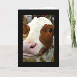 Faire-part Je suis Mooving !