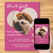 Faire-part Joli nouveau chiot