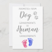 Faire-part Jolie Grossesse Des Grands-Parents Du Chien (Devant)