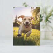 Faire-part Joyeux Labrador Puppy Running (Debout devant)