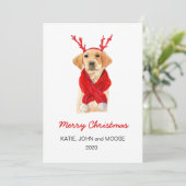 Faire-part Joyeux Noël 2020 Labrador Chiot en écharpe rouge (Debout devant)