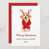 Faire-part Joyeux Noël 2020 Labrador Chiot en écharpe rouge (Devant / Derrière)