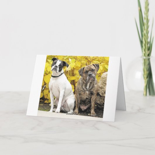 Faire-part Le mariage de Mike et Molly (Dos)