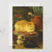 Faire-part Les chatons en jeu (Devant)