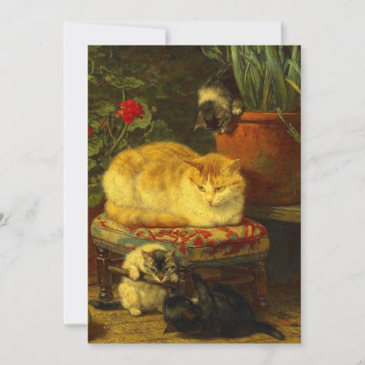 Faire-part Les chatons en jeu (Devant)