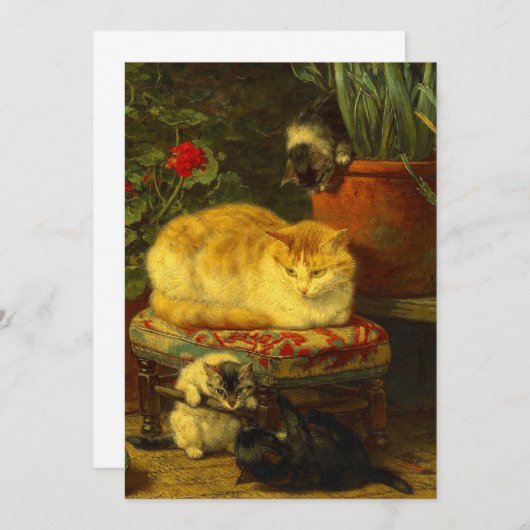 Faire-part Les chatons en jeu (Devant / Derrière)