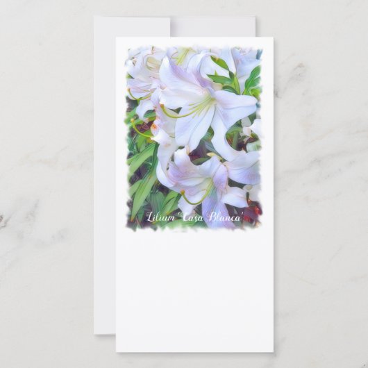 Faire-part Lilium "Casa Blanca" [Carte de guide plat] (Dos)