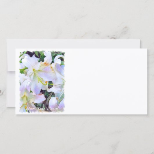 Faire-part Lilium "Casa Blanca" [Carte de guide plat] 案 内 状 (Dos)