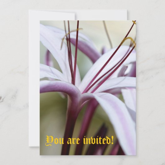 Faire-part Lily - Personnalisé (Devant)