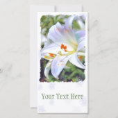 Faire-part Lys de Pâques [Carte de guide plat] 案 内 状 (Devant)