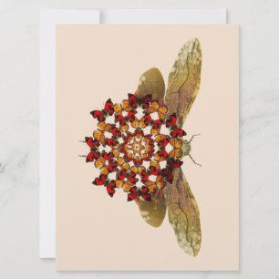 Faire-part Mandala de vol à lanterne et papillon
