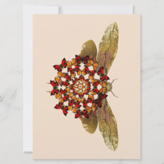 Faire-part Mandala de vol à lanterne et papillon