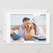 Faire-part Mariage de chiens de photo d'animal de compagnie m (Devant)