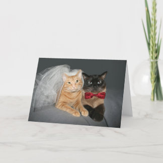 Faire-part Mariée et mari félin