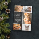 Faire-part Meowy Christmas - Collage photo de chat<br><div class="desc">Charmante carte de Noël noir et blanc avec Meowy Christmas écrite en polices blanches et lettrées à la main,  décorée d'oreilles et de whiskies. Ajoutez cinq photos de votre chat,  ainsi que vos noms et l'année.</div>