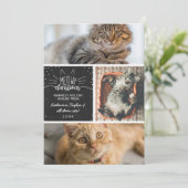 Faire-part Meowy Christmas - Trois Chats Photo Collage (Debout devant)