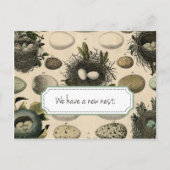 Faire-part mobile personnalisable // Oiseau Vintag (Devant)