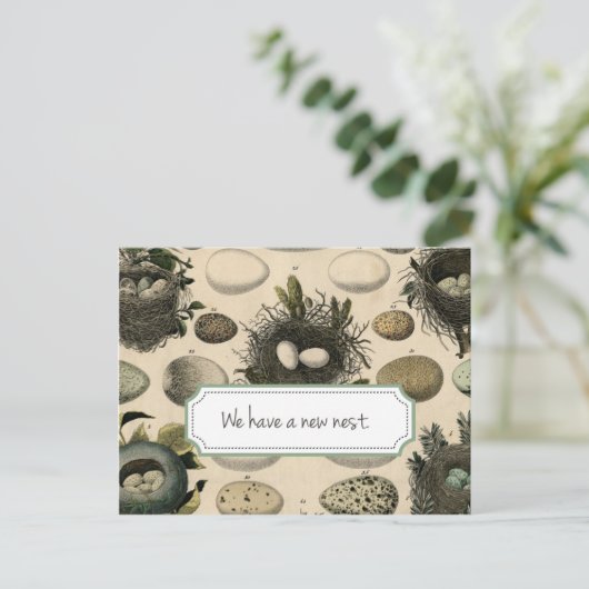 Faire-part mobile personnalisable // Oiseau Vintag (Debout devant)