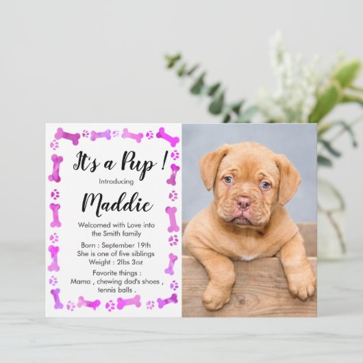 Faire-part New Puppy - Rose Girl New Pet - Chien Birthday Pup (Debout devant)
