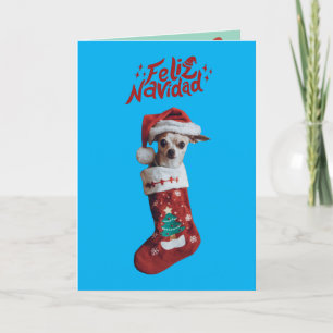 Faire-part Noël du Chihuahua