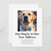 Faire-part Nous avons déménagé Golden Retriever Pet Dog Name  (Devant / Derrière)