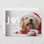 Faire-part Nouveau Chien Chien Chien Joie Paw Noël (Devant)