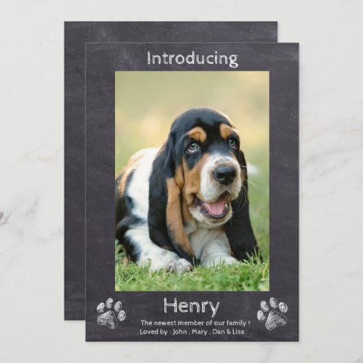 Faire-part Nouveau Chiot - Présentation de Chien Chien Chien  (Devant / Derrière)
