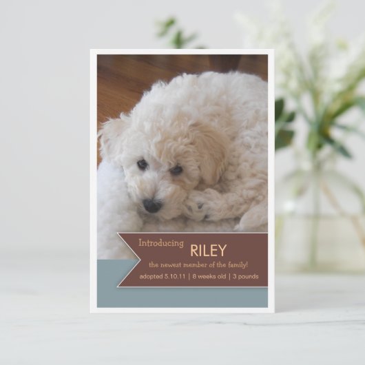 Faire-part Nouveau Pet 2 Photo Bannière Brown Photo Faire-par (Debout devant)